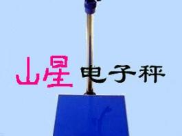 友聲XK3100型計(jì)數(shù)臺秤（BS系列）